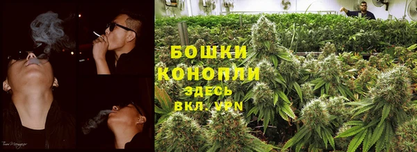 PSILOCYBIN Горнозаводск