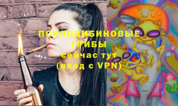 PSILOCYBIN Горнозаводск